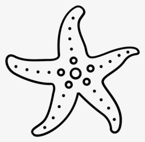 Class Lazyload Lazyload Mirage Cloudzoom Featured Image - Starfish, HD Png Download, Transparent PNG