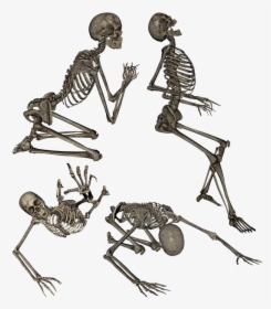 Skeleton Meme Transparent, HD Png Download, Transparent PNG