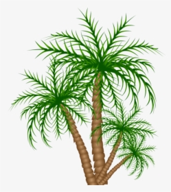 Jurassic Trees Clipart, HD Png Download, Transparent PNG