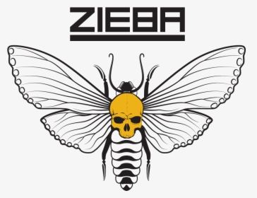 Zieba-2020 - Illustration, HD Png Download, Transparent PNG