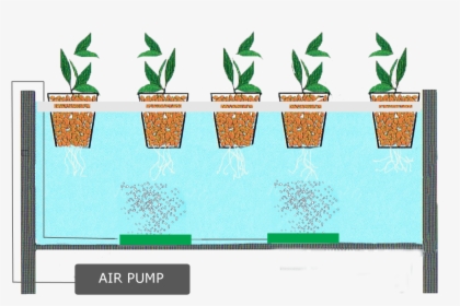 Hydroponics With Air Pump , Png Download - Hydroponic System, Transparent Png, Transparent PNG