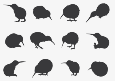 Kiwi Bird Silhouettes - Kiwi Bird Icon Vector, HD Png Download, Transparent PNG