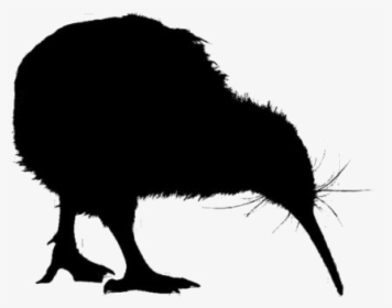 Kiwi Birds Png Transparent Images - Flightless Bird, Png Download, Transparent PNG