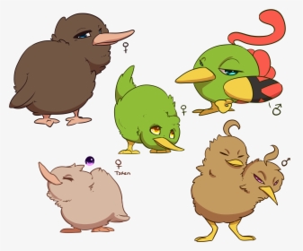 Collection Of Drawing High Quality Free - Kawaii Kiwi Bird, HD Png Download, Transparent PNG