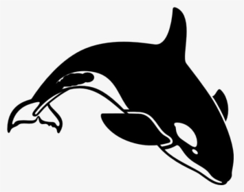 Killer Whale Png Transparent Images - Orca Clipart, Png Download, Transparent PNG