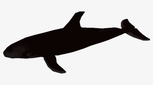 Download Zip Archive - Killer Whale, HD Png Download, Transparent PNG