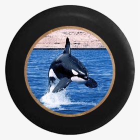 Killer Whale Orca Jumping In The Ocean Rv Camper Spare - Orca, HD Png Download, Transparent PNG