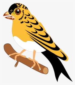 Bird 25 Png Clip Arts - Birds, Transparent Png, Transparent PNG
