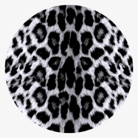 Cheetah Print Circle Transparent, HD Png Download, Transparent PNG
