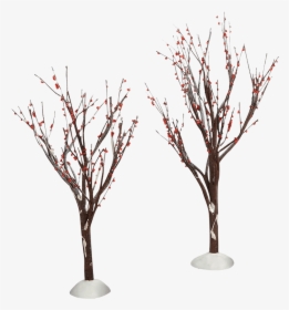 Winter Berry Trees - Twig, HD Png Download, Transparent PNG