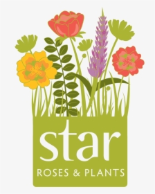Srp Logo - Star Roses And Plants Logo, HD Png Download, Transparent PNG