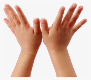 Transparent Children Raising Hands Clipart - Children Hand Clipart, HD Png Download, Transparent PNG
