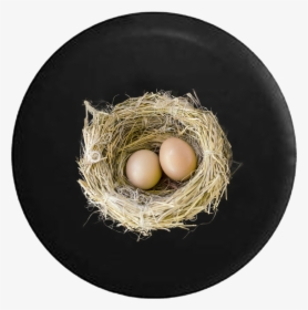 Golden Eggs In Birds Nest PNG Transparent And Clipart Image For Free  Download - Lovepik