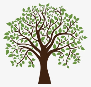 Family Tree Clipart Transparent Background , Transparent - Oak Tree With Acorns Clipart, HD Png Download, Transparent PNG