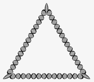 Line Art,symmetry,monochrome Photography - Dna Triangle, HD Png Download, Transparent PNG