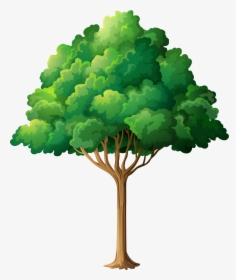 Tree Branch Clip Art - Forest Trees Clipart Png, Transparent Png, Transparent PNG
