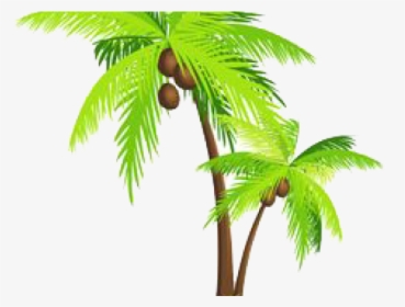 Palm Tree Png Transparent Images - Transparent Background Coconut Tree Png, Png Download, Transparent PNG