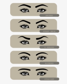 Eyebrow Shape - Illustration, HD Png Download, Transparent PNG