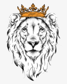 #leao #lion #rei #jesus #leão #freetoedit #picsart - Outline Lion Face Drawing, HD Png Download, Transparent PNG