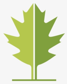 Wlt Leaf - Maple Leaf, HD Png Download, Transparent PNG