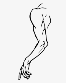 Human Silhouette At Getdrawings - Human Body Left Hand, HD Png Download, Transparent PNG