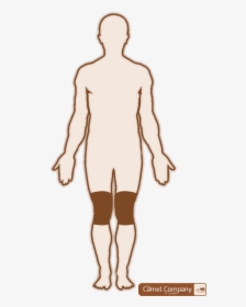 Outline Drawing Of Human Body , Png Download - Male Body Outline Template, Transparent Png, Transparent PNG