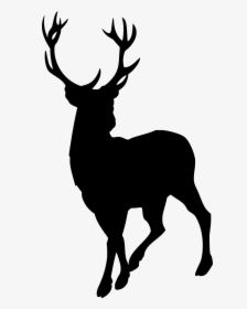 Silhouette Of A Stag, HD Png Download, Transparent PNG