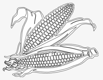 Transparent Corn Stalks Png - Corn Picture Black And White, Png Download, Transparent PNG