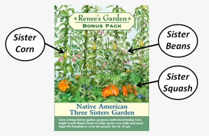 Sisters Garden Native Americans, HD Png Download, Transparent PNG