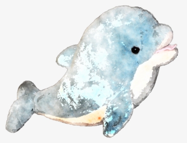 Clip Art Seal Watercolor - Dolphin Watercolor Png, Transparent Png, Transparent PNG