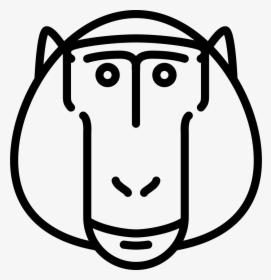 Baboon Head - Baboons, HD Png Download, Transparent PNG