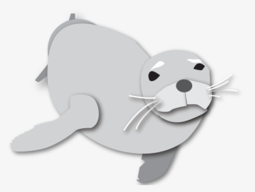 Monk Seal Illustration - Earless Seal, HD Png Download, Transparent PNG