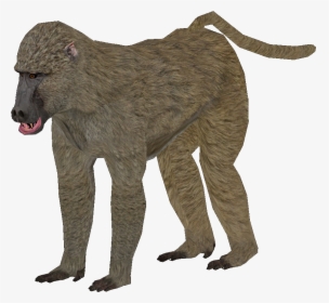 Zoo Tycoon 2 Olive Baboon, HD Png Download, Transparent PNG
