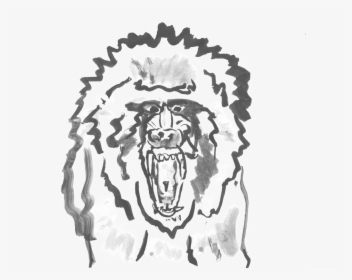 Baboon, HD Png Download, Transparent PNG