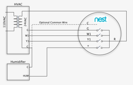 Stand Alone Hum 1 Wire At Nest Wiring Diagram, HD Png Download, Transparent PNG