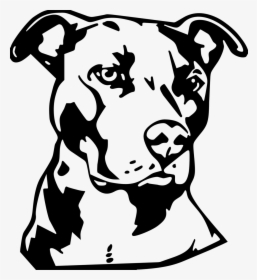 Pitbull Clipart Black And White, HD Png Download, Transparent PNG