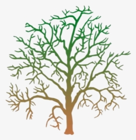 Transparent Dying Tree Silhouette, Png Clip Art - Halloween Week, Png Download, Transparent PNG