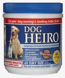 Companion Dog, HD Png Download, Transparent PNG