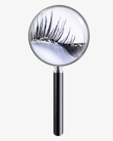 Transparent Fake Eyelashes Png - Makeup Brushes, Png Download, Transparent PNG
