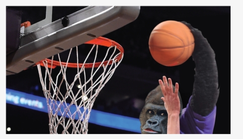 Basketball Moves, HD Png Download, Transparent PNG
