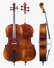 Wolfganggunther Vc12544 4/4 Academy Cello Outfit W/ - 4 4 Cello, HD Png Download, Transparent PNG