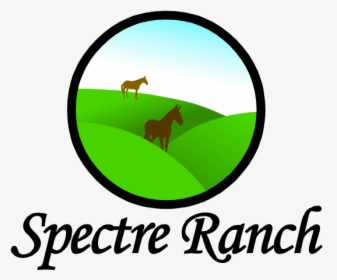 Logo Design By Gurat Alam For Wild Peak Ranches - Blattodea, HD Png Download, Transparent PNG
