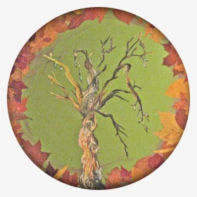 Holistic-wellness - Circle, HD Png Download, Transparent PNG
