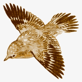 Bird - Brown Bird Flying Painting, HD Png Download, Transparent PNG
