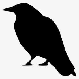 Primitive Crow Clipart Kid - Crow Clip Art, HD Png Download, Transparent PNG