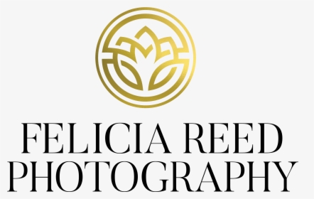 Felicia Reed Photography Contemporary Beauty Portrait - Felicia Reed Photography, HD Png Download, Transparent PNG
