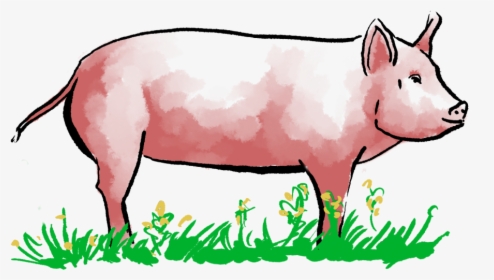 Pig Doodle, HD Png Download, Transparent PNG