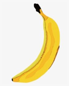 Saba Banana, HD Png Download, Transparent PNG