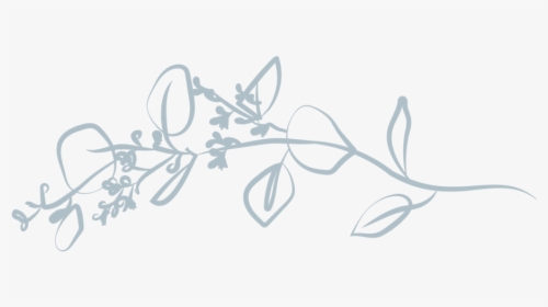 Slate Floral For Web-36 - Sketch, HD Png Download, Transparent PNG