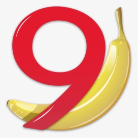 Banana 8 Logo - Banana Buchhaltung Logo, HD Png Download, Transparent PNG